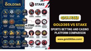 Gold365 vs Stake comparison showing sports betting features, casino insights, and structured user-friendly platform analysis